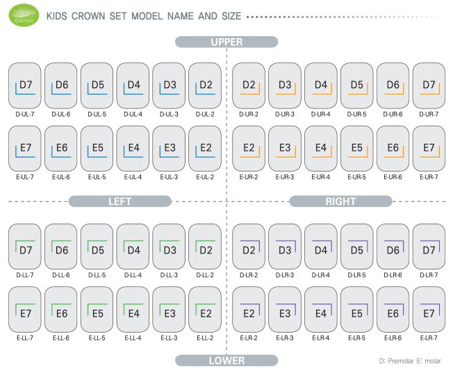 Kids Crown leaflet new box